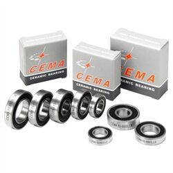 Vòng Bi Gốm Ceramic CemaBearing Taiwan